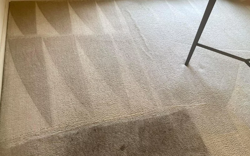 Benefits of Regular Deep Cleaning for Carpets in Charlotte NC