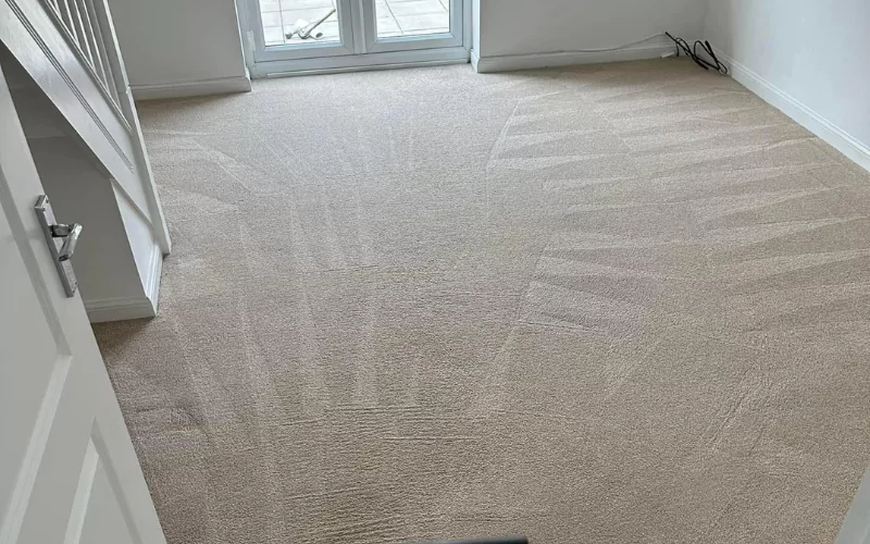 How often should you Get your Carpets Cleaned?