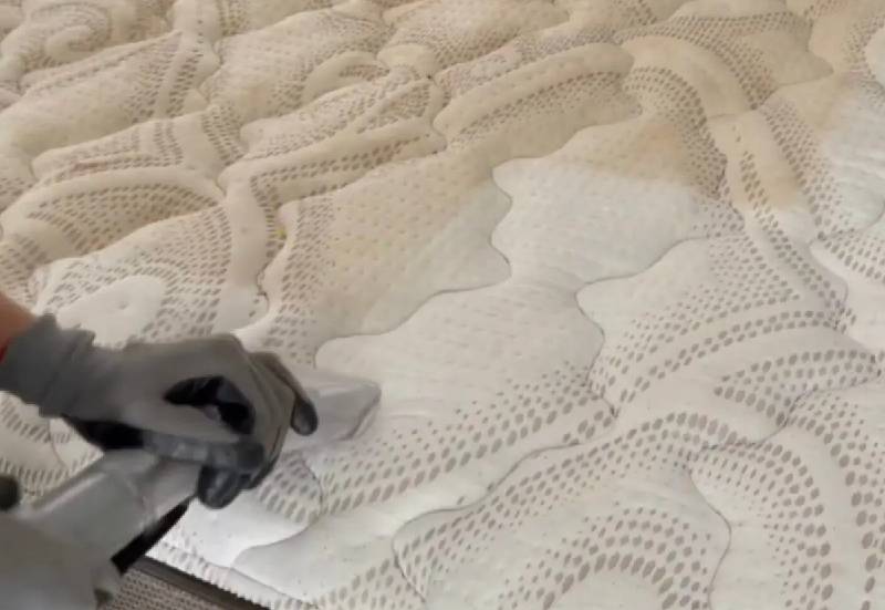 Mattress Cleaning Services