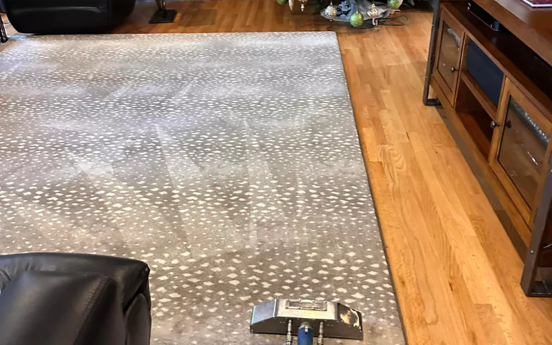 Benefits Of Regular Rug Cleaning