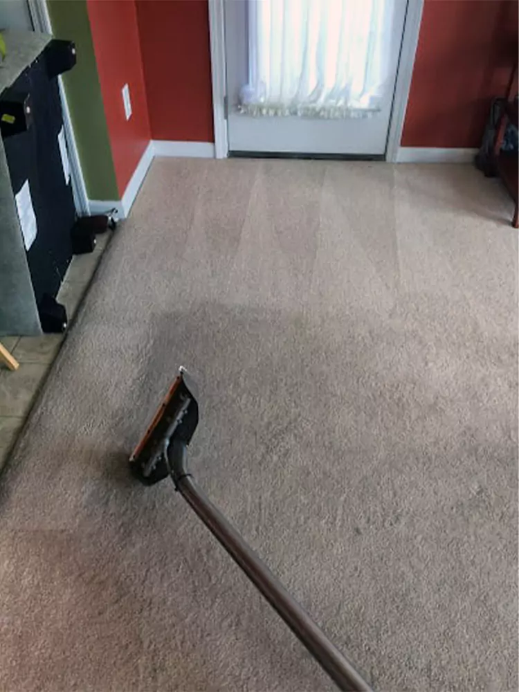 Living Room Carpet Cleaning