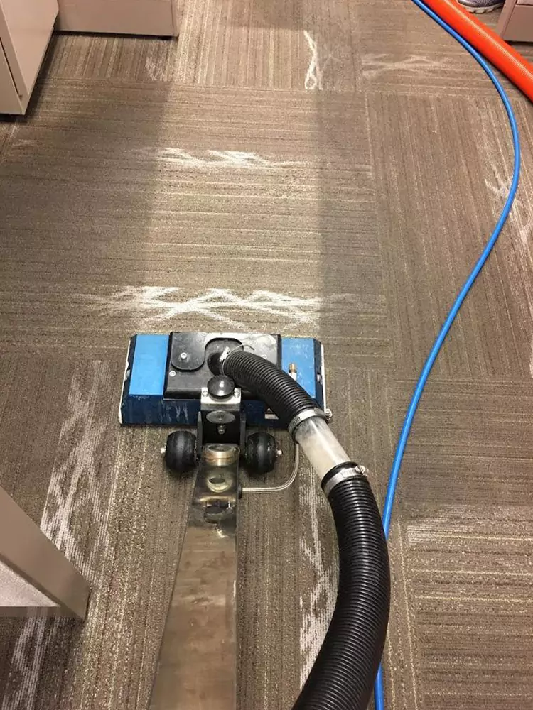 Carpet Cleaning Services