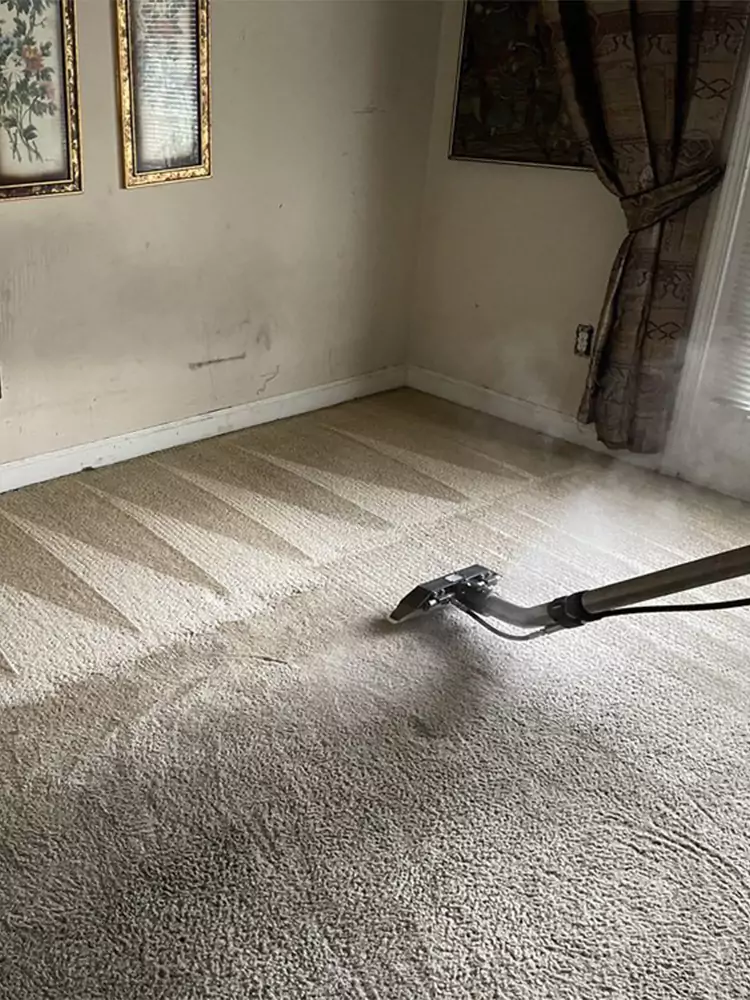 Living Room Carpet Cleaning services