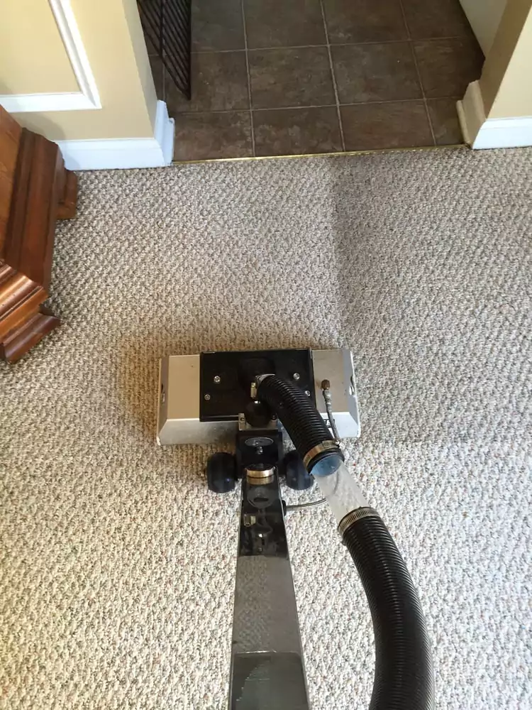 Professional Carpet Cleaning