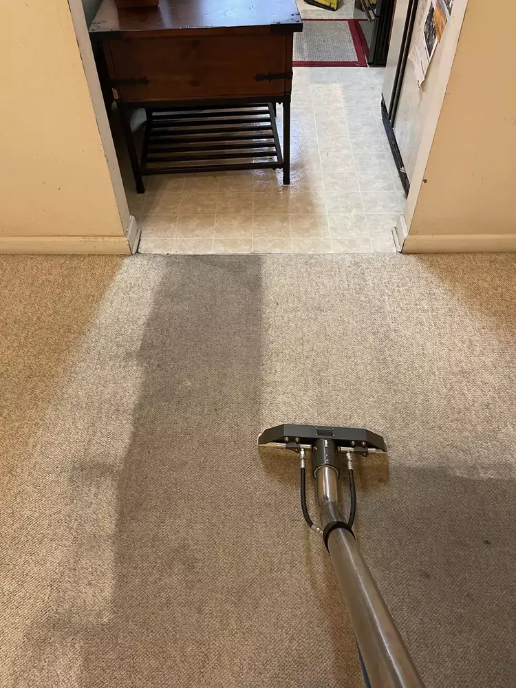 Trusted Carpet Cleaning Services