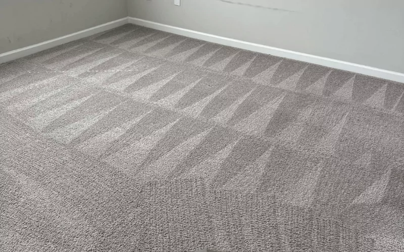 How Much Does Carpet Cleaning Cost In Charlotte, NC?