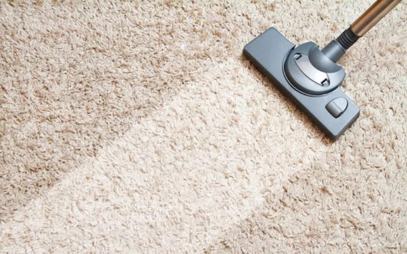 How To Maintain Carpets After A Professional Cleaning?