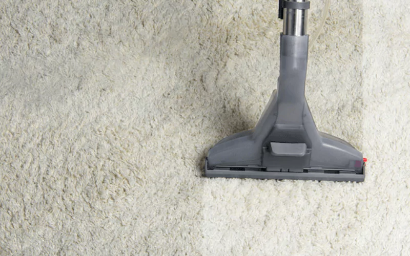 The Importance Of Regular Carpet Cleaning For Allergy Sufferers