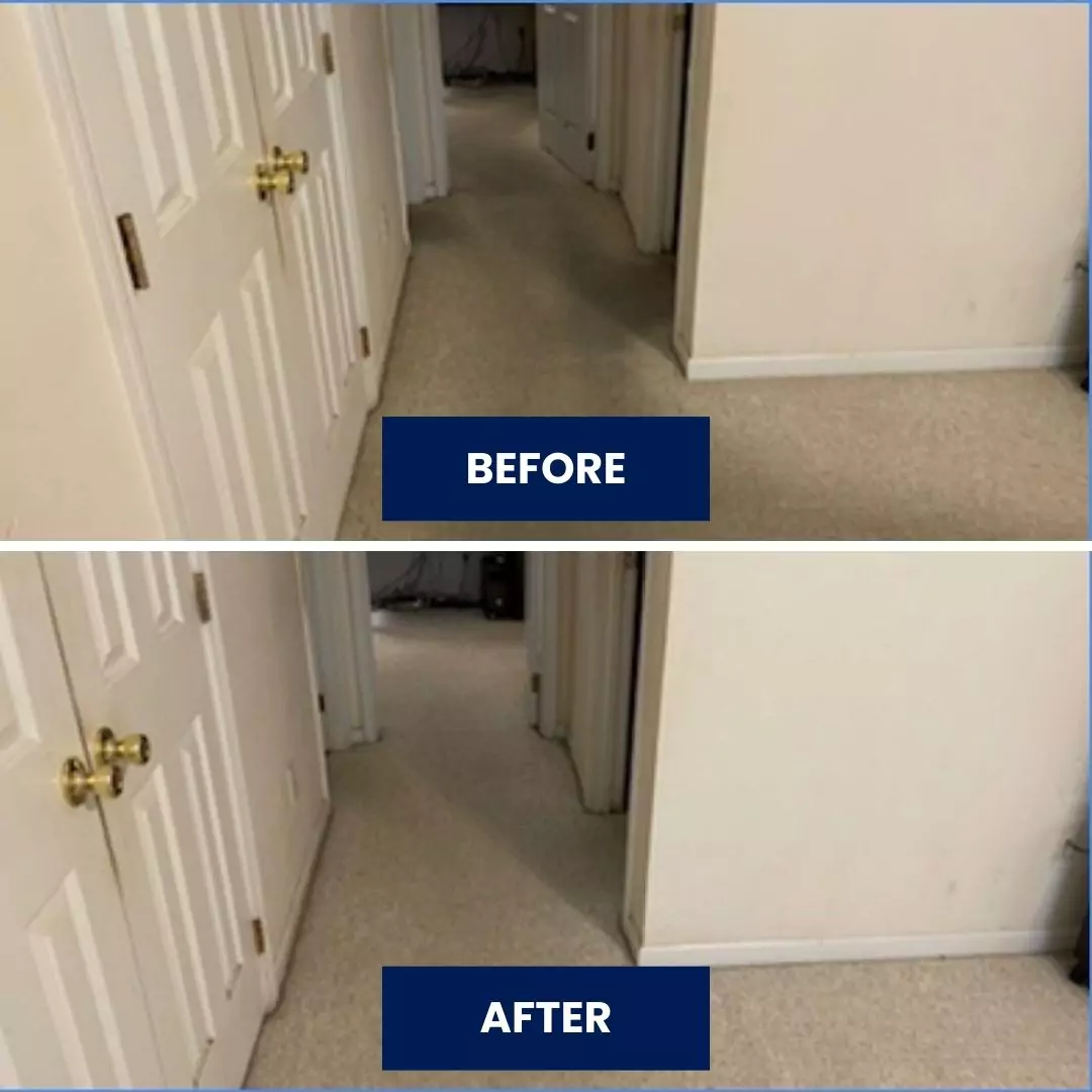 Before & After Carpet Cleaning (3)