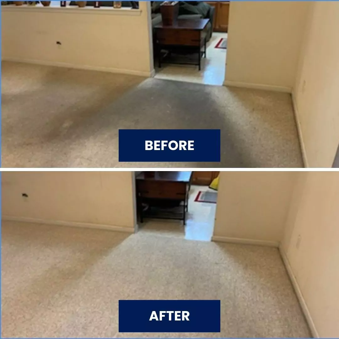 Before & After Carpet Cleaning (4)