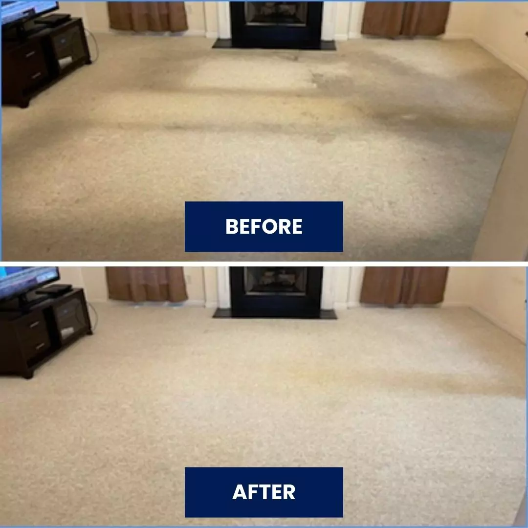 Before & After Carpet Cleaning (5)