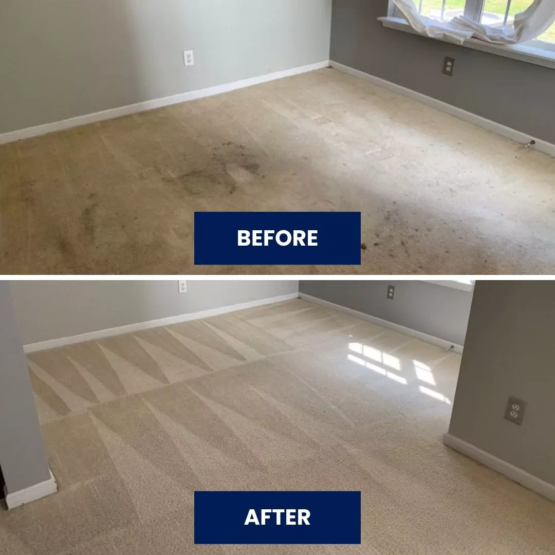 Before & After Carpet Cleaning (6)