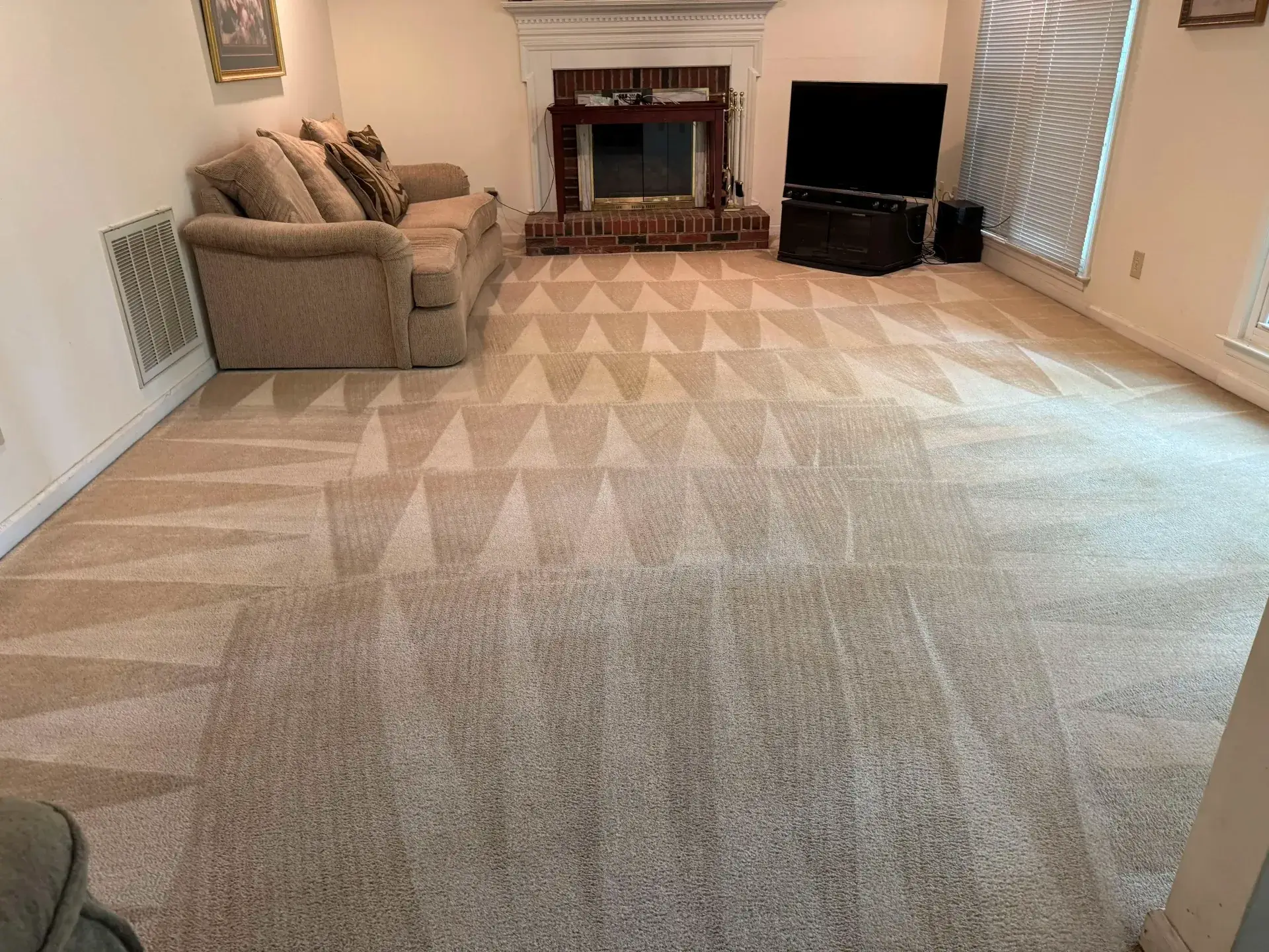 carpet cleaning after
