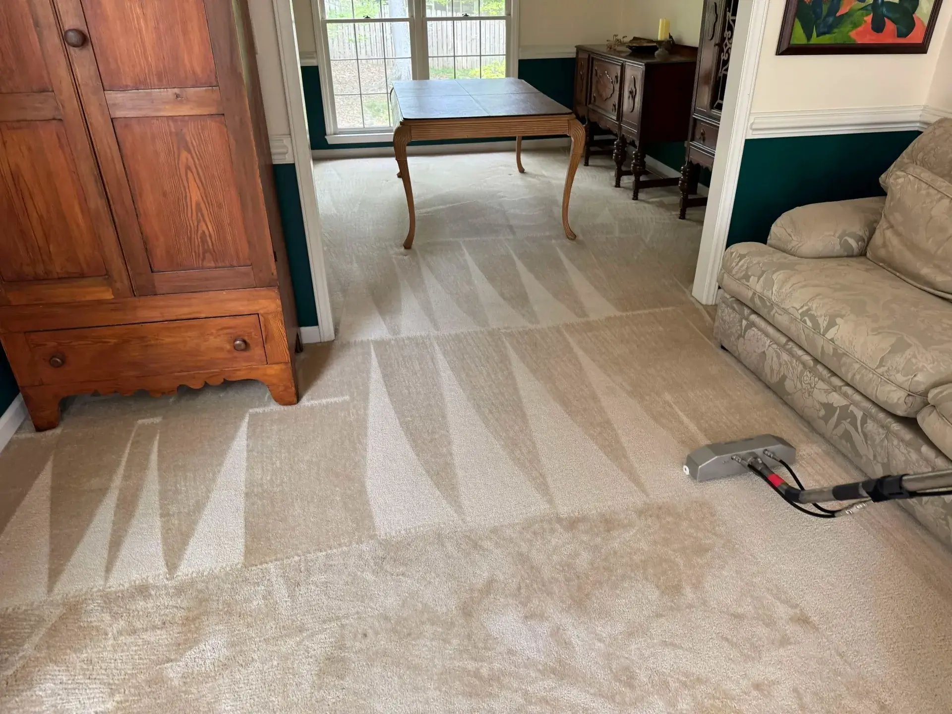 carpet cleaning best steamer